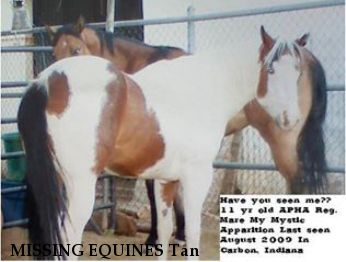 MISSING EQUINES Tan & Mystic, Near Carbon, IN, 47837